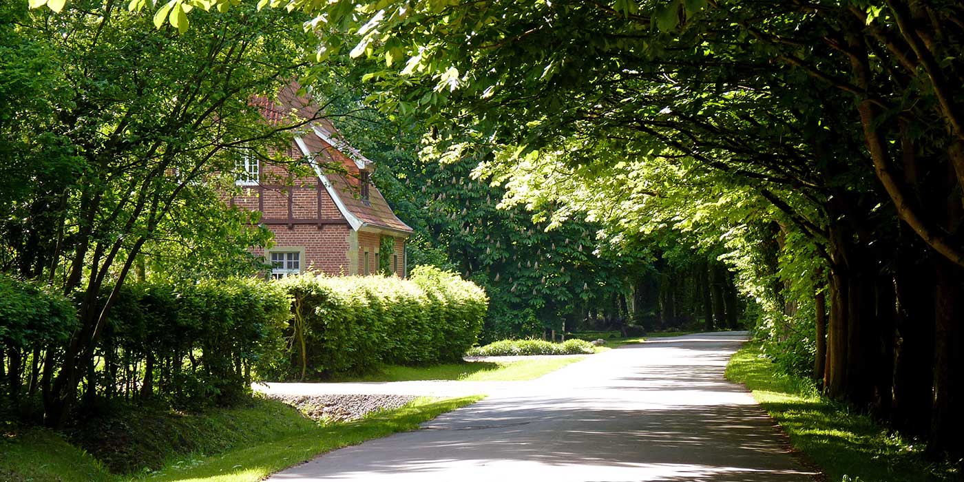 Wunderschöne Rad- und Spazierwege in Lippborg